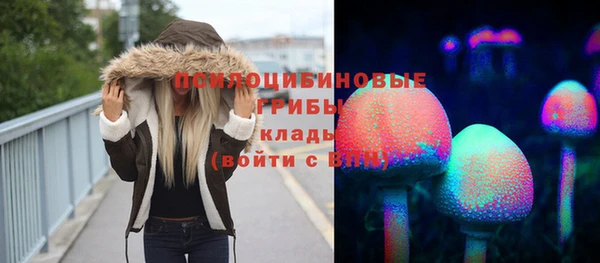 mix Богородск