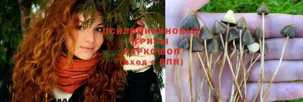 шишки Богородицк