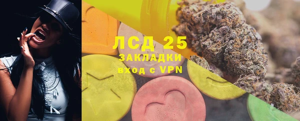 шишки Богородицк