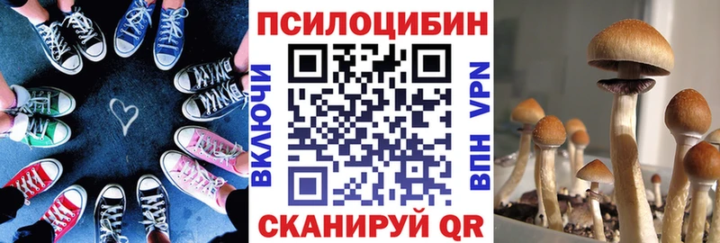 Псилоцибиновые грибы прущие грибы  наркота  Елабуга 